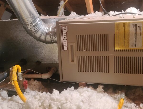 What Are Indoor Air Quality Services, and Why Are They Important?